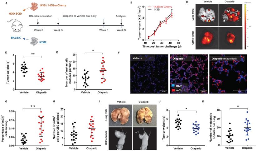 Int J Biol Sci Image