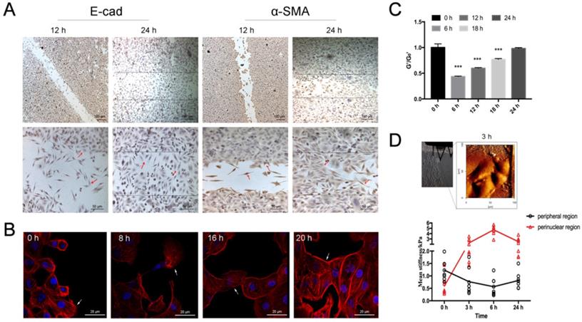 Int J Biol Sci Image