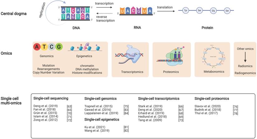 Int J Biol Sci Image