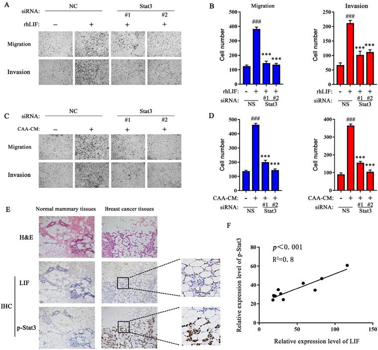 Int J Biol Sci Image