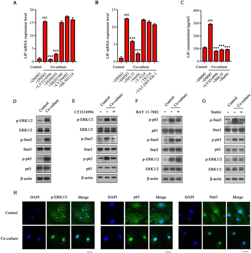 Int J Biol Sci Image