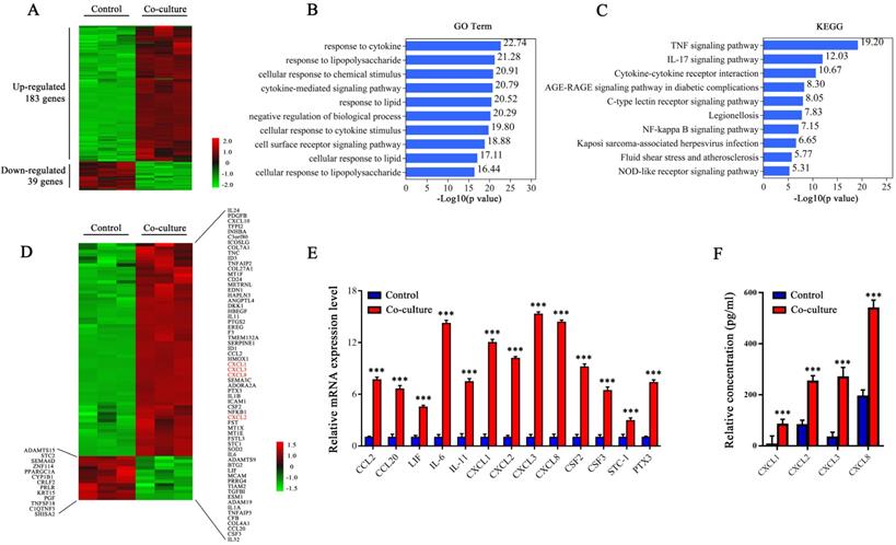 Int J Biol Sci Image