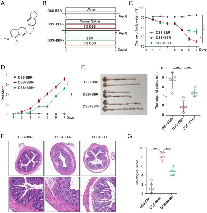 Int J Biol Sci Image