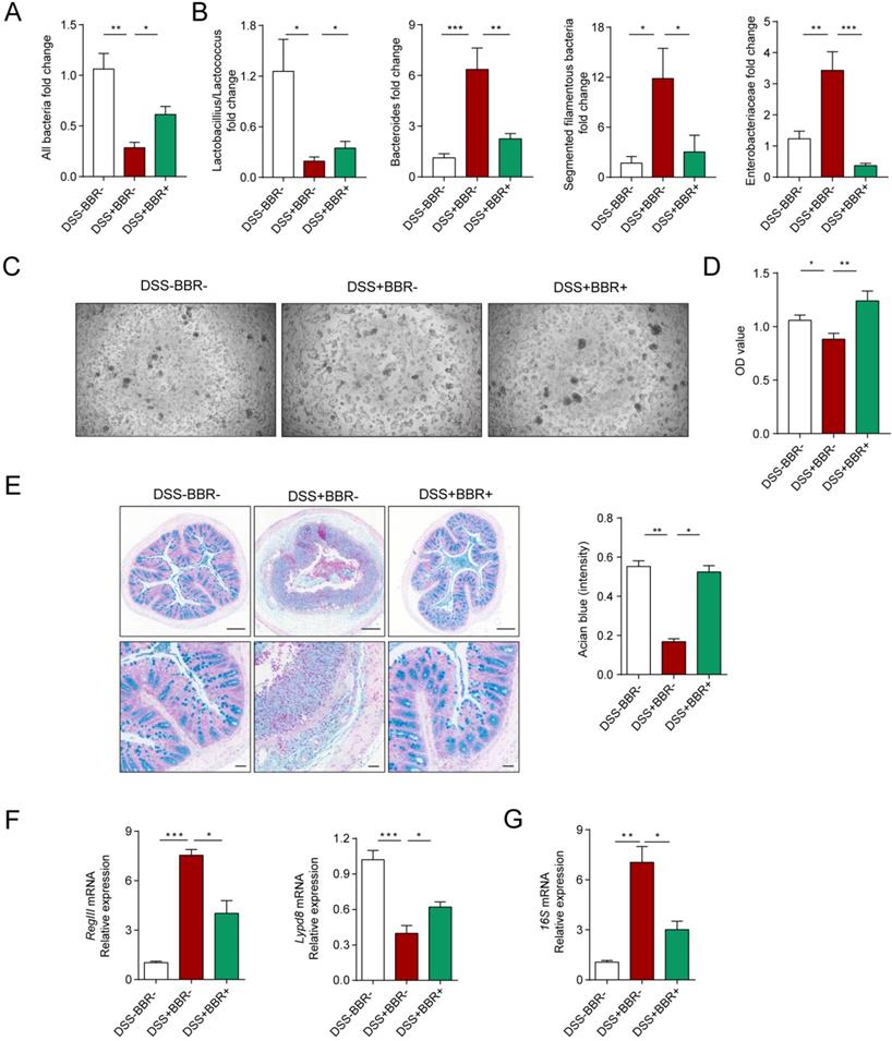 Int J Biol Sci Image