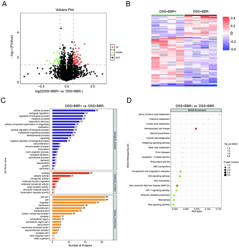 Int J Biol Sci Image