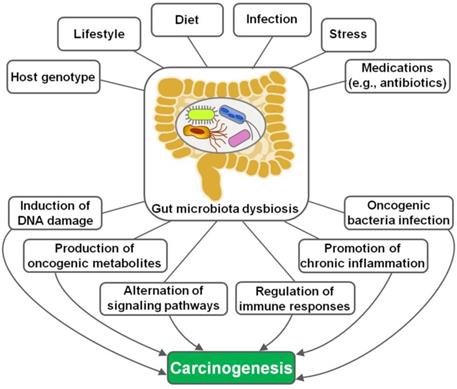 Int J Biol Sci Image