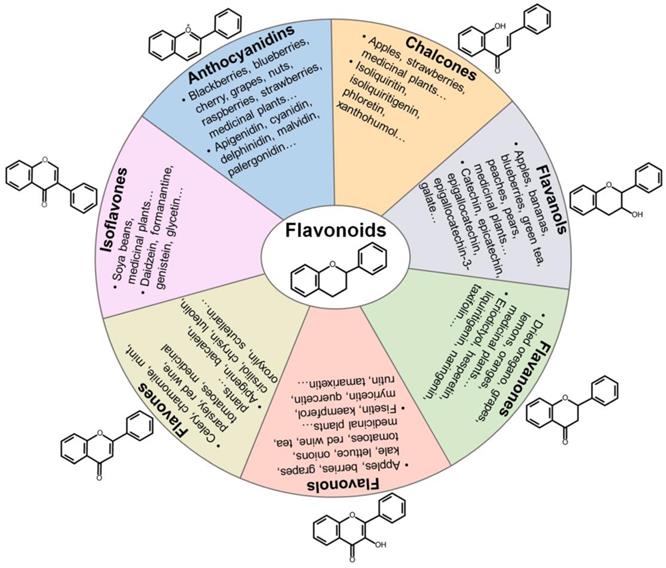 Int J Biol Sci Image