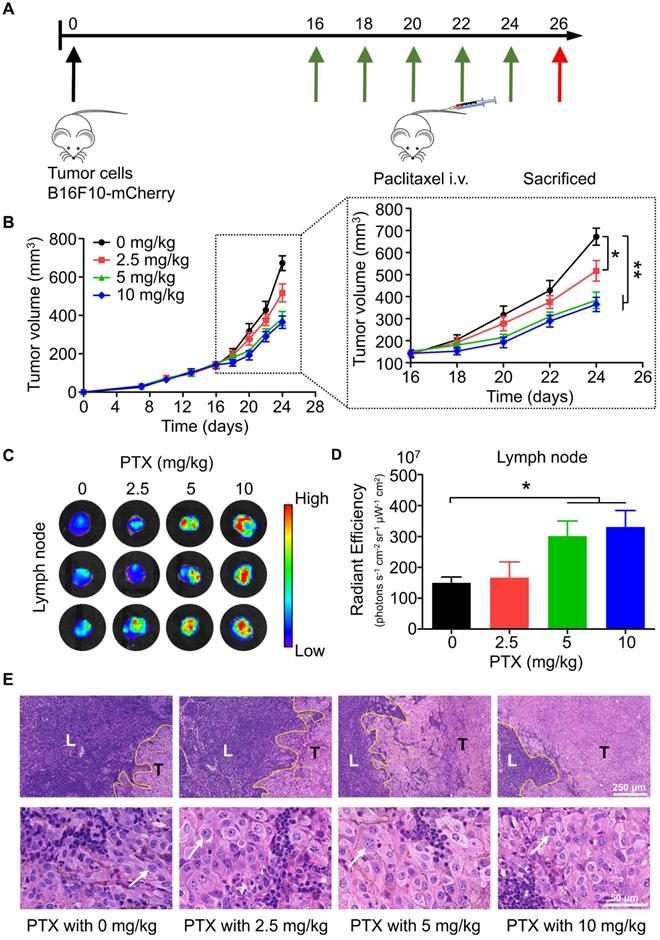 Int J Biol Sci Image