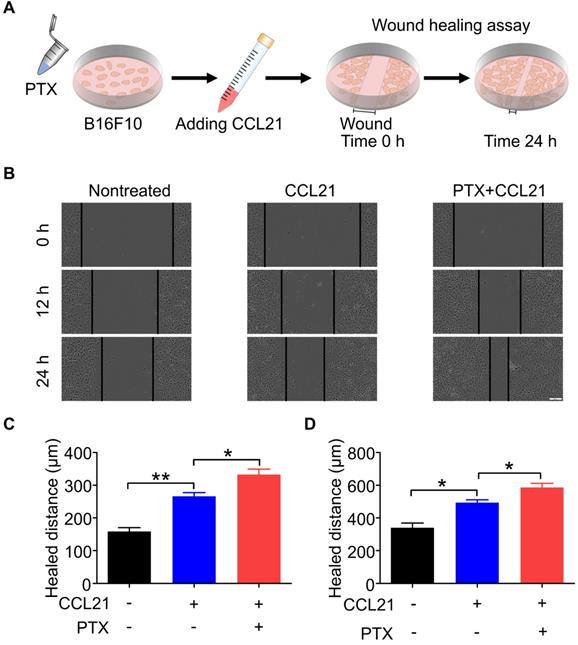 Int J Biol Sci Image