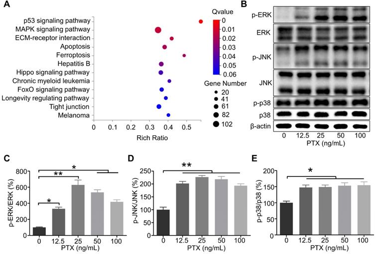 Int J Biol Sci Image