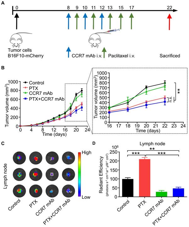 Int J Biol Sci Image