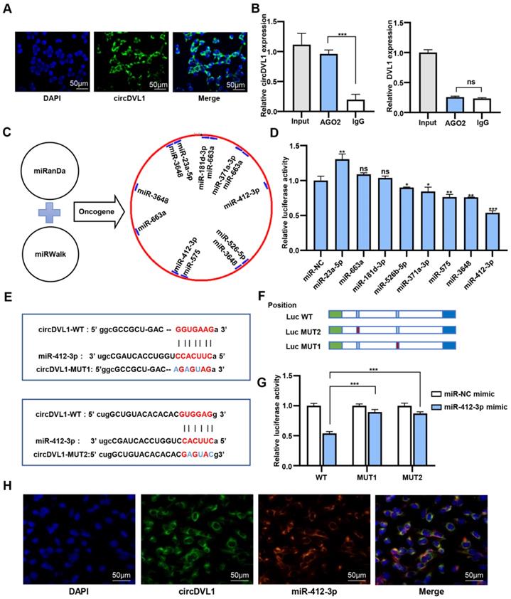 Int J Biol Sci Image