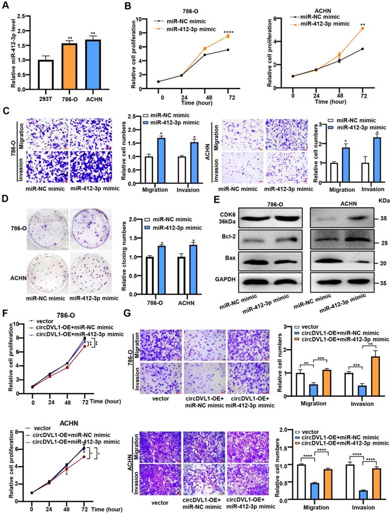 Int J Biol Sci Image