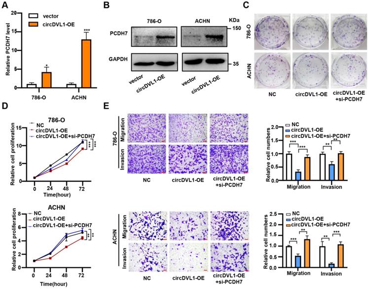 Int J Biol Sci Image