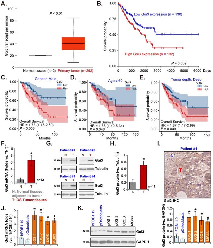 Int J Biol Sci Image