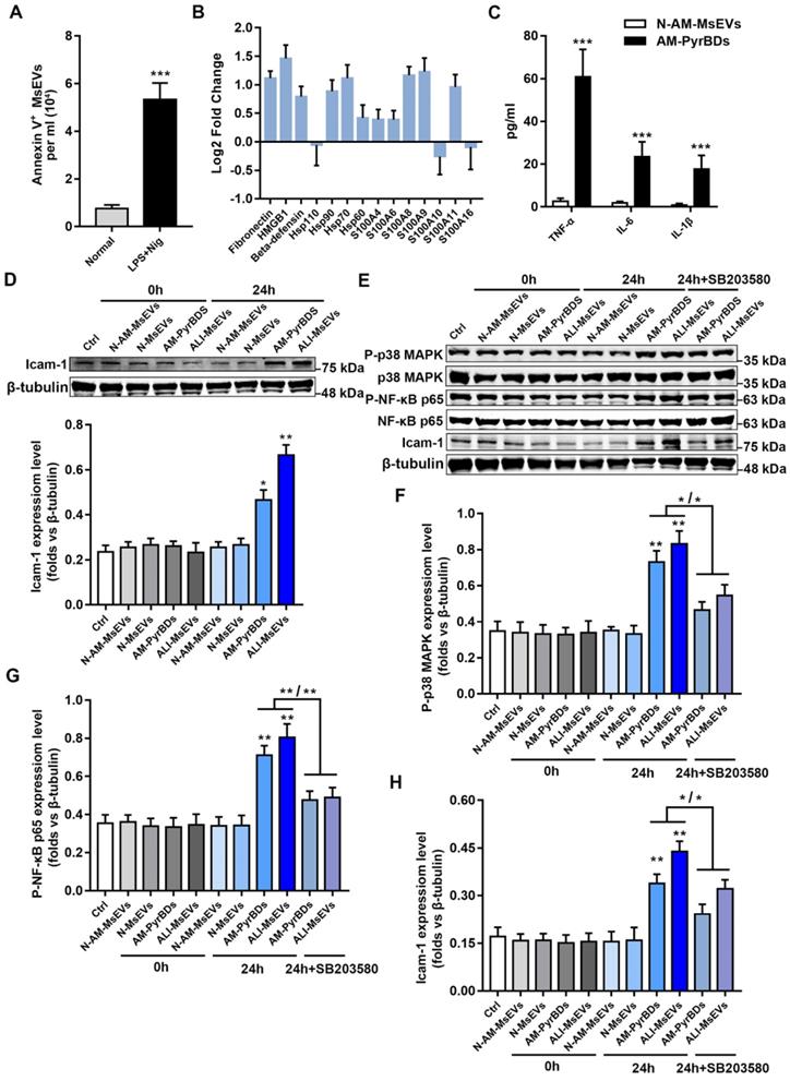 Int J Biol Sci Image