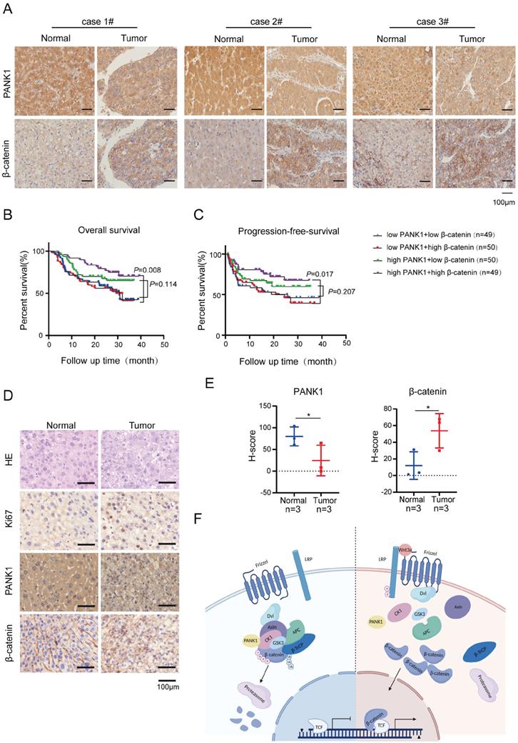 Int J Biol Sci Image