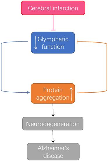 Int J Biol Sci Image