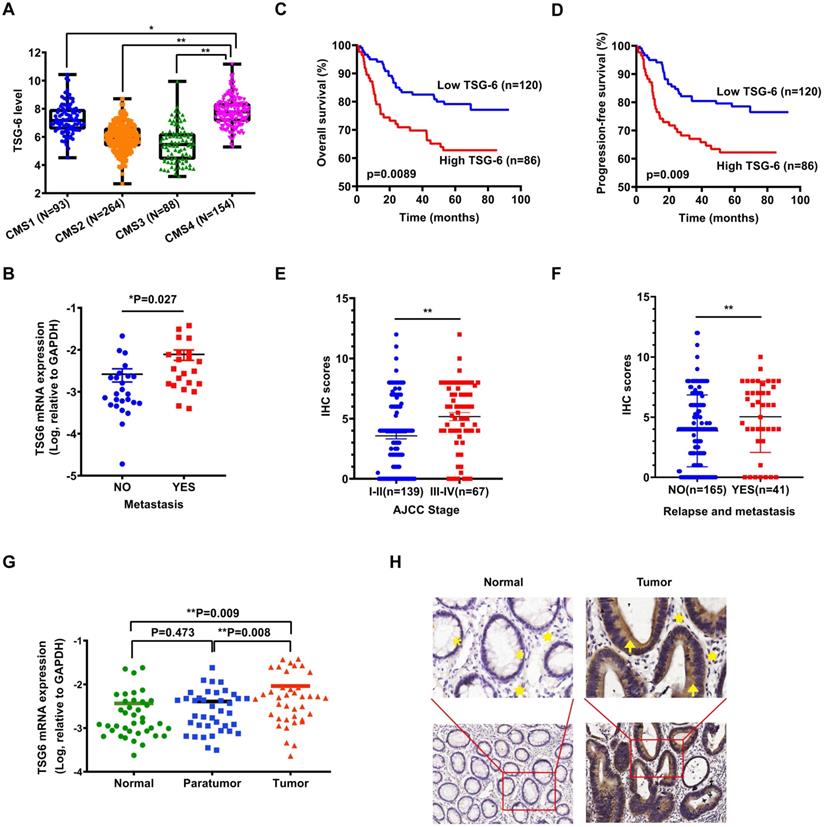 Int J Biol Sci Image