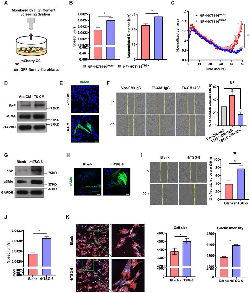 Int J Biol Sci Image