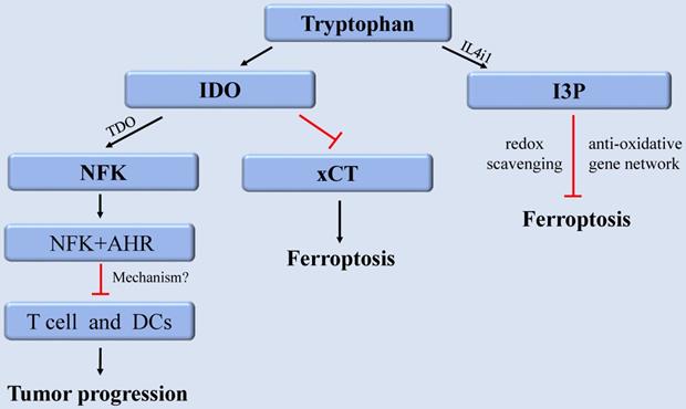 Int J Biol Sci Image