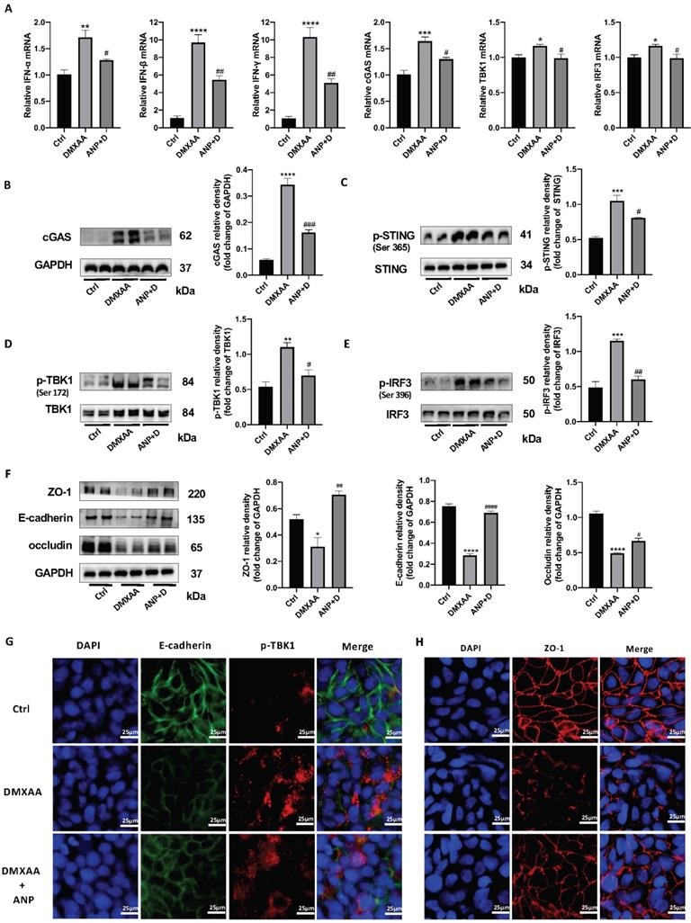 Int J Biol Sci Image