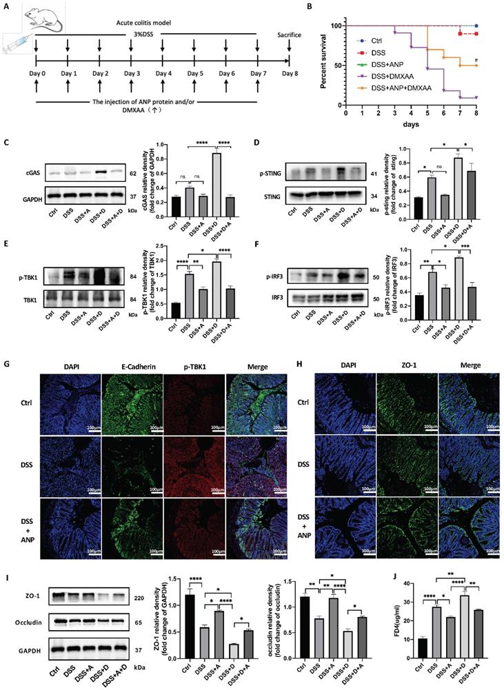 Int J Biol Sci Image