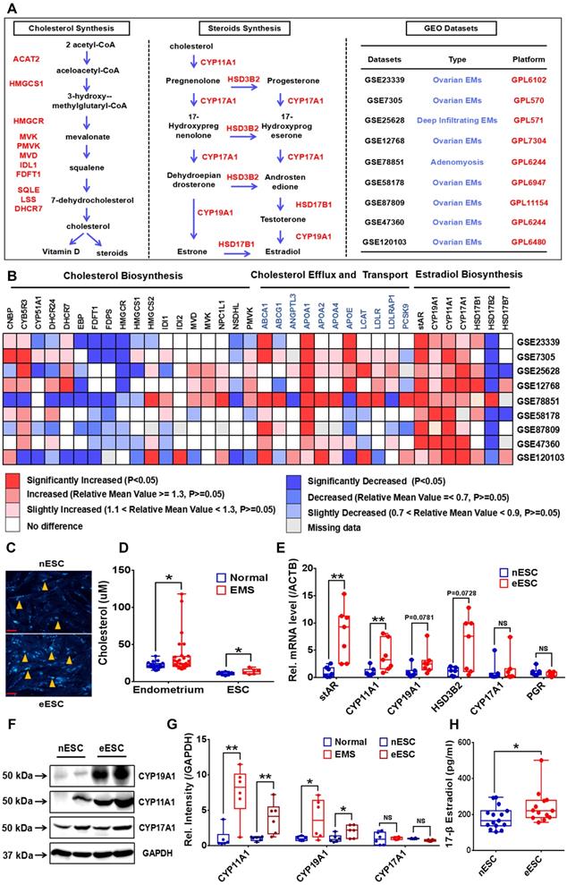 Int J Biol Sci Image