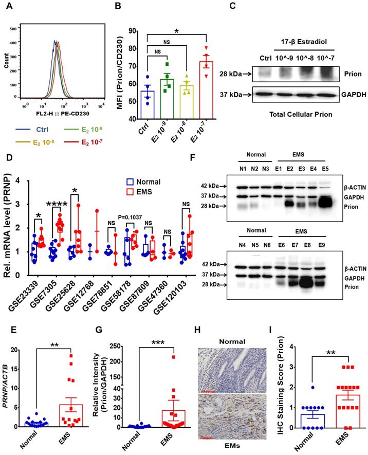 Int J Biol Sci Image