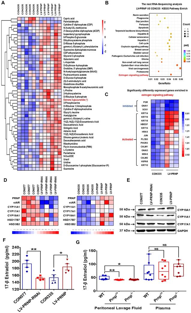 Int J Biol Sci Image