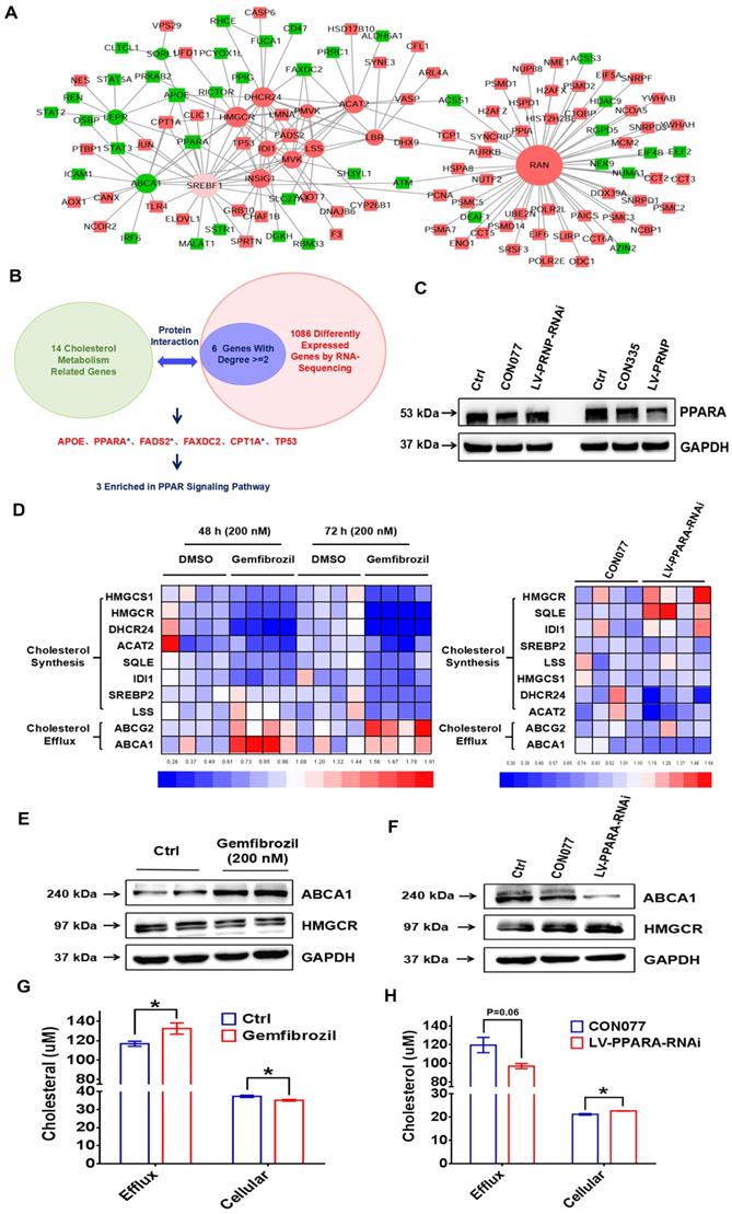 Int J Biol Sci Image