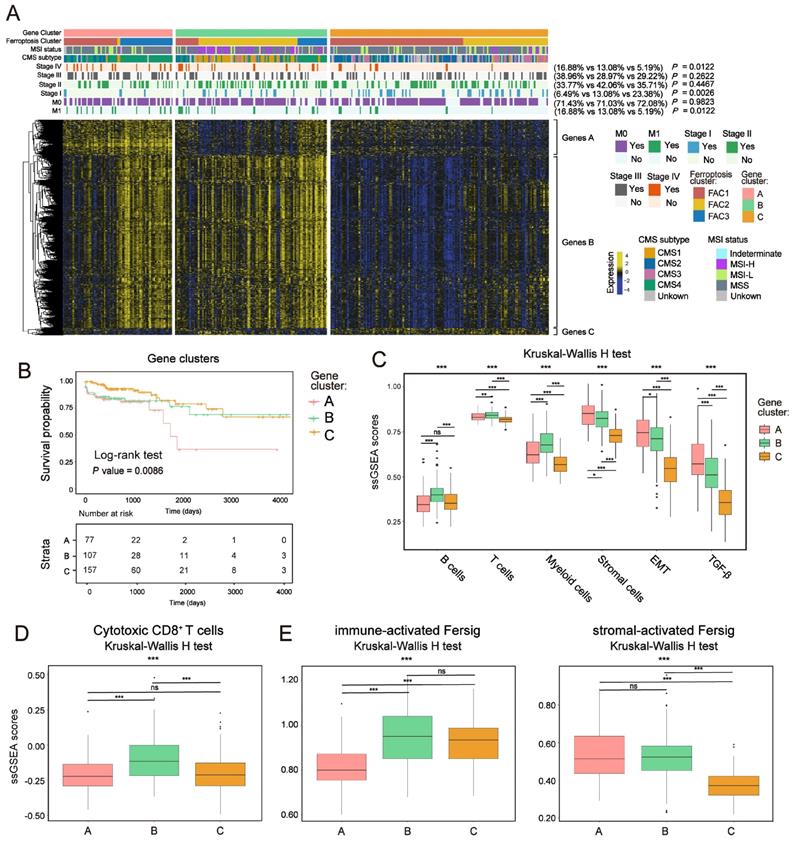 Int J Biol Sci Image