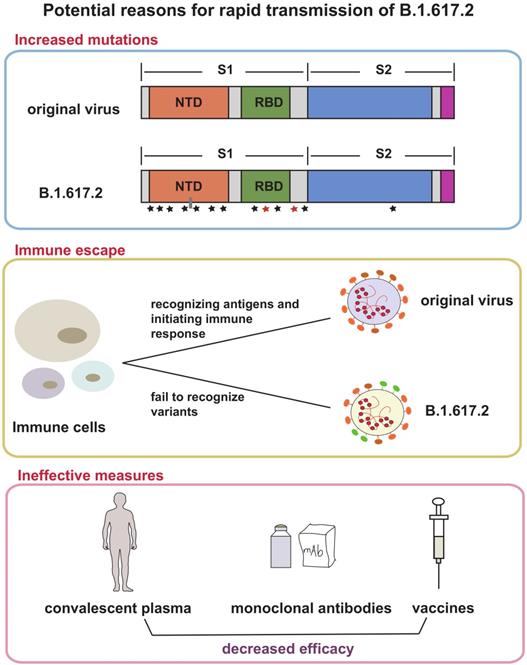 Int J Biol Sci Image