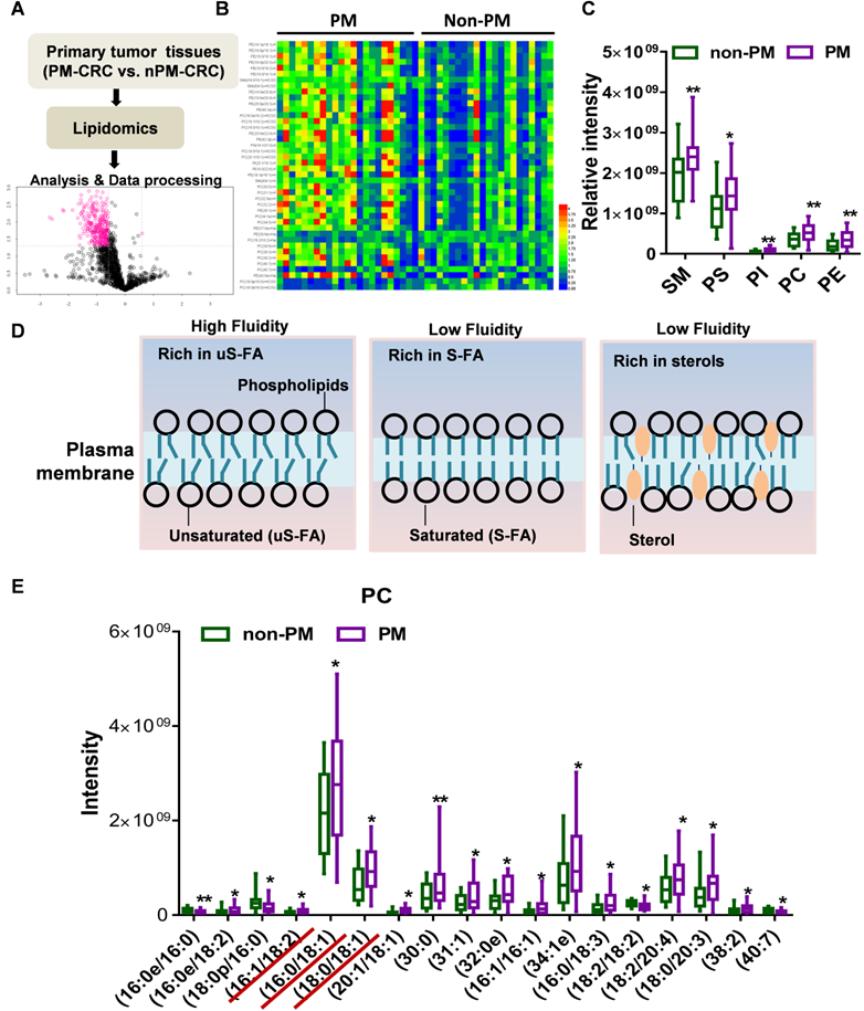 Int J Biol Sci Image