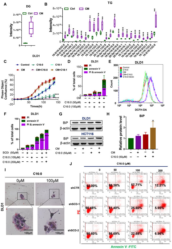 Int J Biol Sci Image