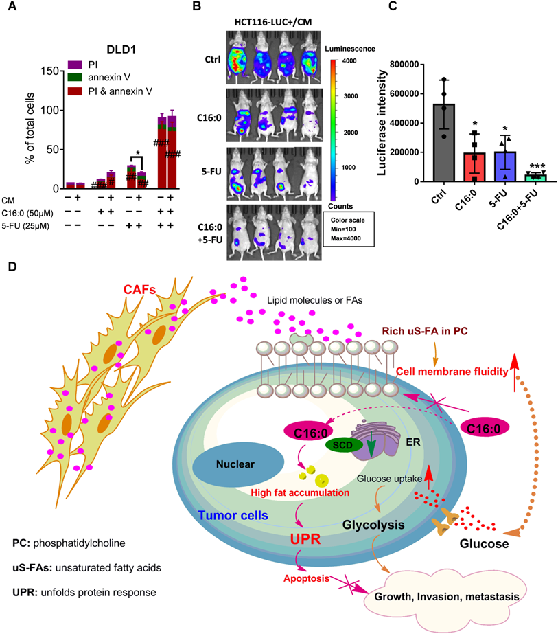 Int J Biol Sci Image