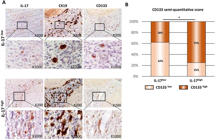 Int J Biol Sci Image