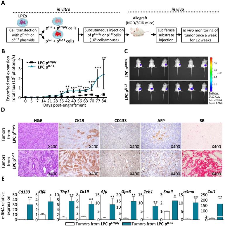 Int J Biol Sci Image