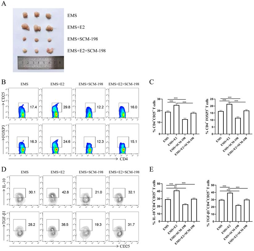 Int J Biol Sci Image