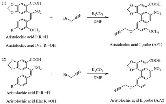 Int J Biol Sci Image