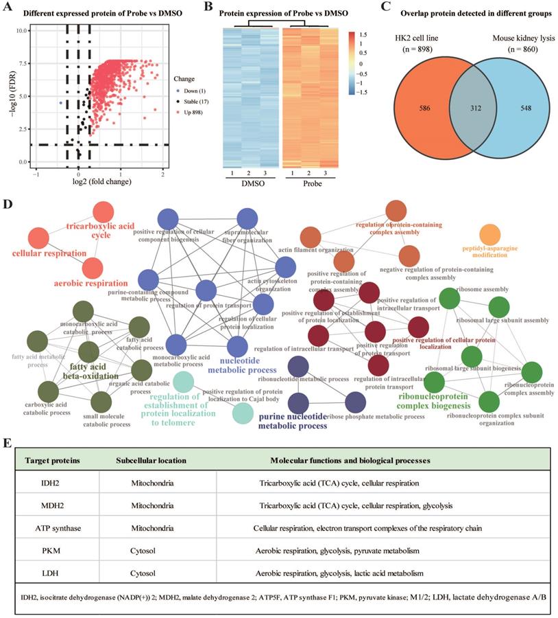 Int J Biol Sci Image