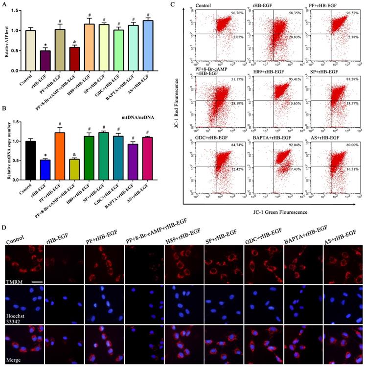 Int J Biol Sci Image