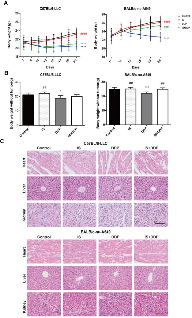 Int J Biol Sci Image