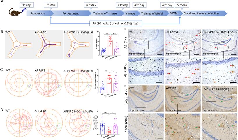 Int J Biol Sci Image