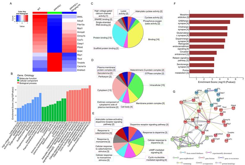 Int J Biol Sci Image