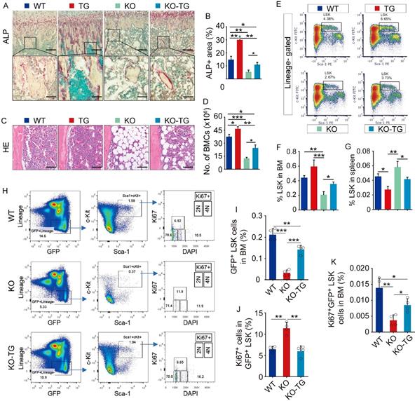 Int J Biol Sci Image