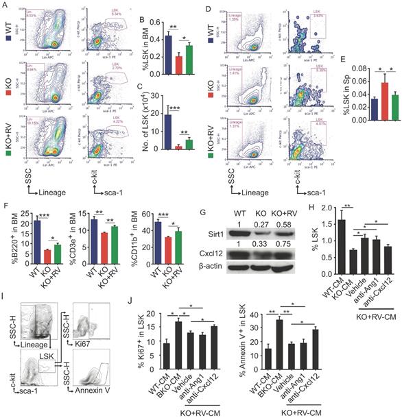 Int J Biol Sci Image