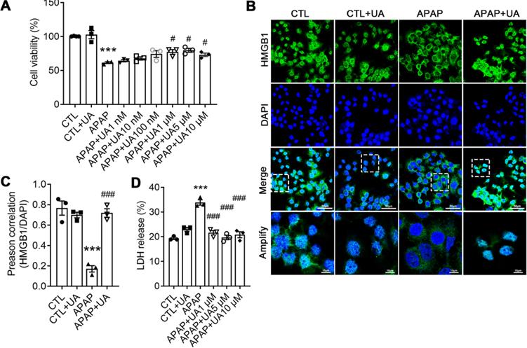 Int J Biol Sci Image