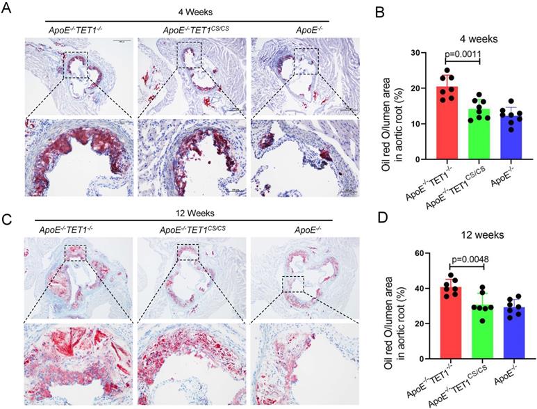 Int J Biol Sci Image