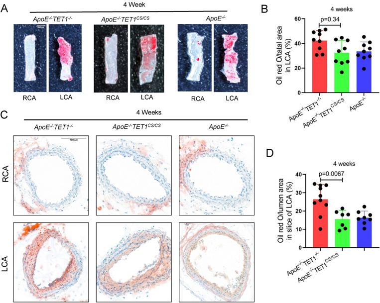 Int J Biol Sci Image